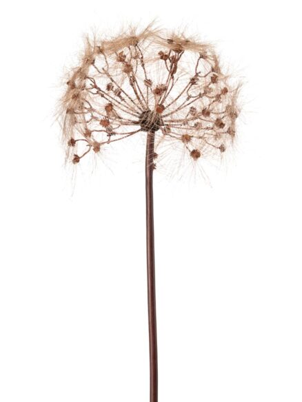 dandelion brown artificial flower autumn winter collection 2025